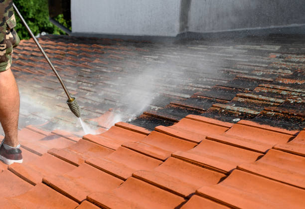 Best House Pressure Washing  in Corralitos, CA