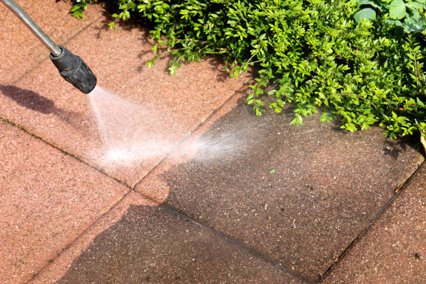 Best Affordable Power Washing  in Corralitos, CA